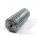 High Quality Hot dipped galvanized welded wire mesh